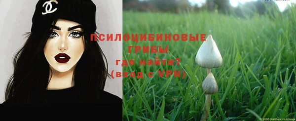 спайс Алексин