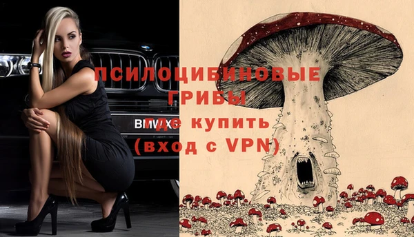 мдпв Алзамай