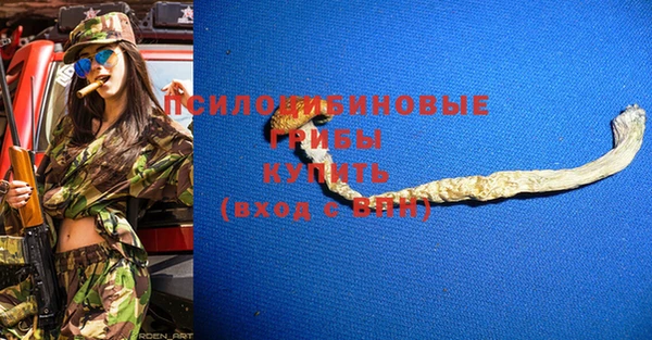 мдпв Алзамай